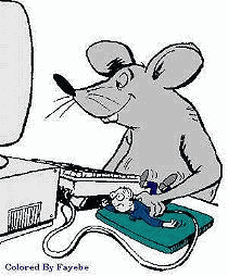 mousesurfingweb