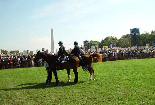 washingtonmonumenthorses