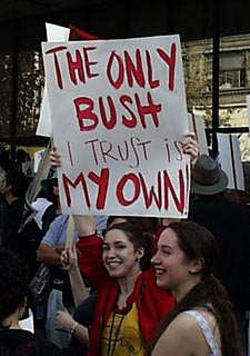 trust-my-bush