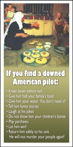 leaflet-iraq-downed-pilot