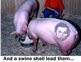 a-swine