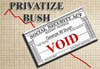 privatize-bush