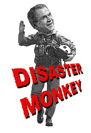 disaster-monkey-store
