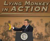 monkey-action2