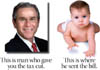 tax-baby