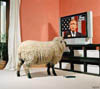 sheeple-tv