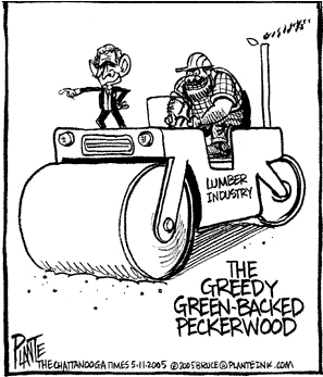 greedy-peckerwood