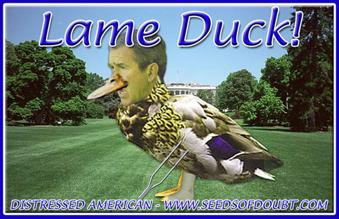 Lame-Duck-Small