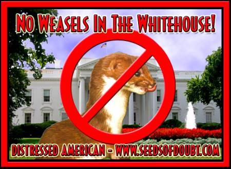 no-wh-weasels