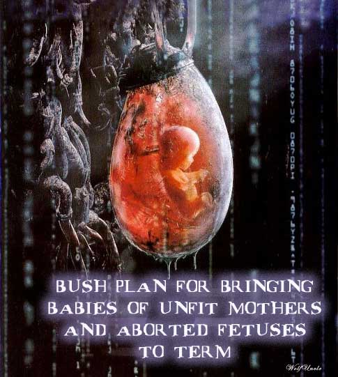 bushantiabortion